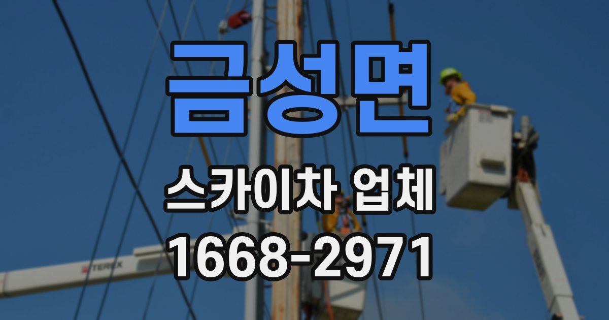 금성면 스카이차 업체