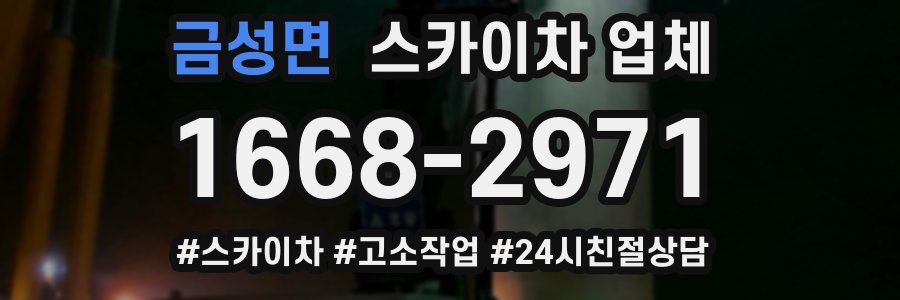 금성면 스카이차 업체