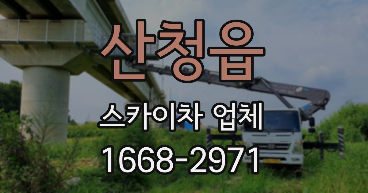 산청읍 스카이차 업체
