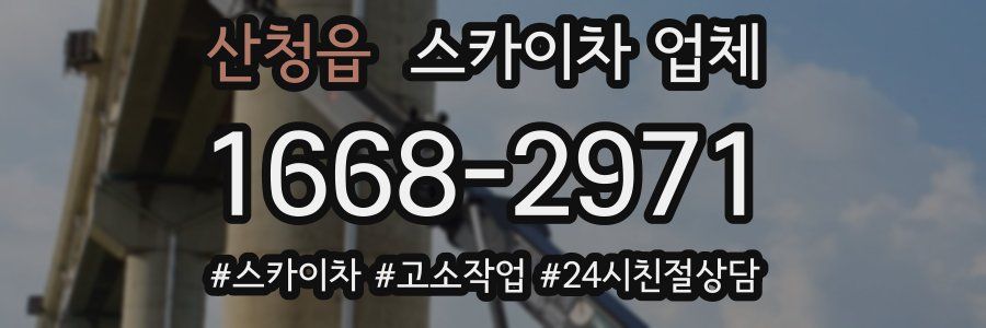 산청읍 스카이차 업체