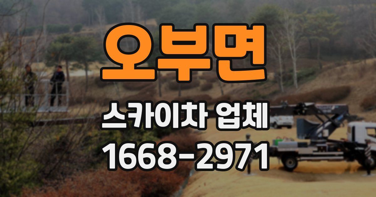 오부면 스카이차 업체
