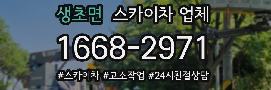 생초면 스카이차 업체