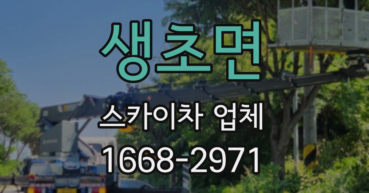 생초면 스카이차 업체