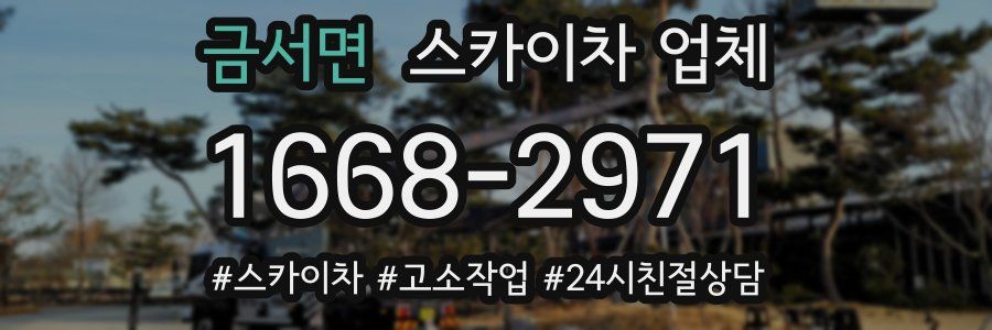 금서면 스카이차 업체