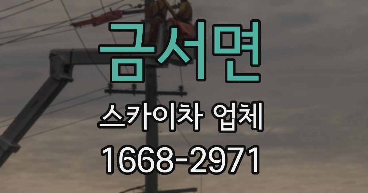 금서면 스카이차 업체