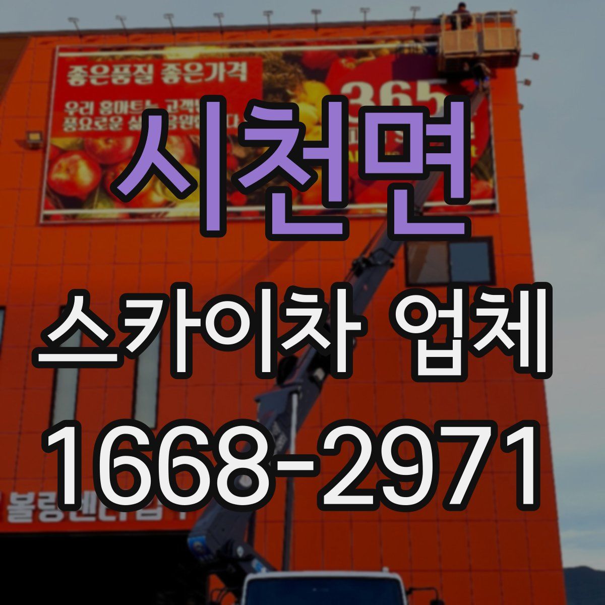 시천면 스카이차 업체