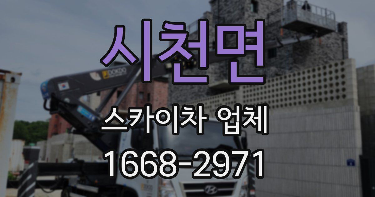 시천면 스카이차 업체