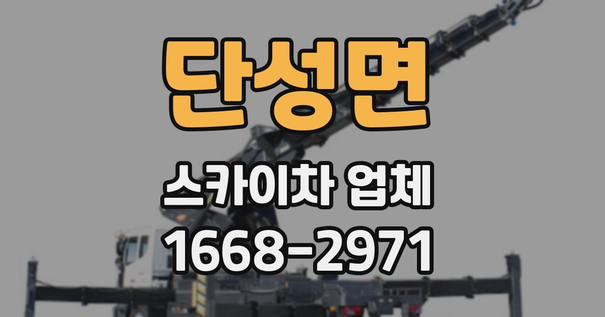 단성면 스카이차 업체