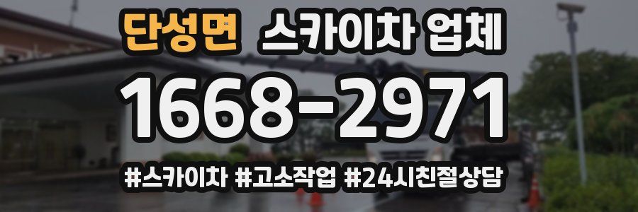 단성면 스카이차 업체