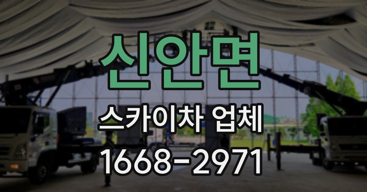 신안면 스카이차 업체