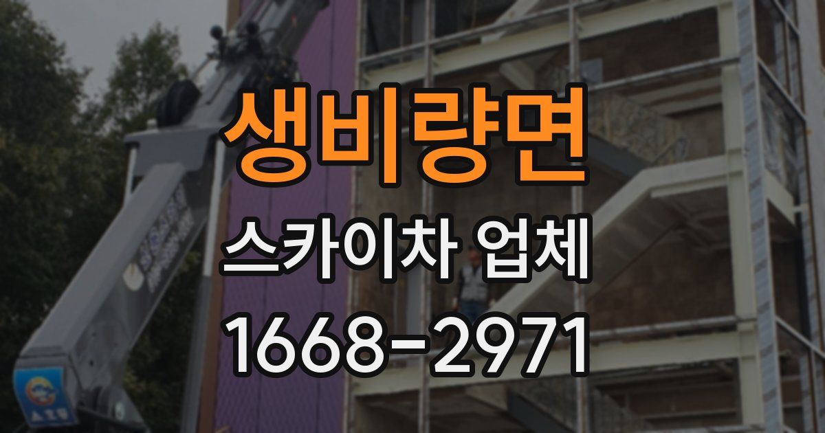 생비량면 스카이차 업체