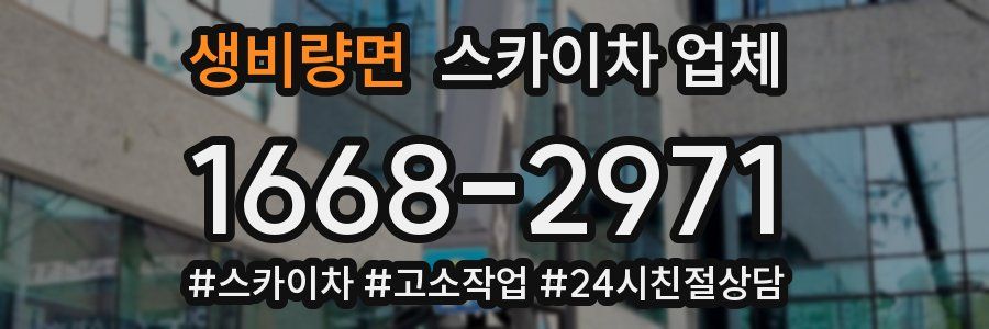 생비량면 스카이차 업체