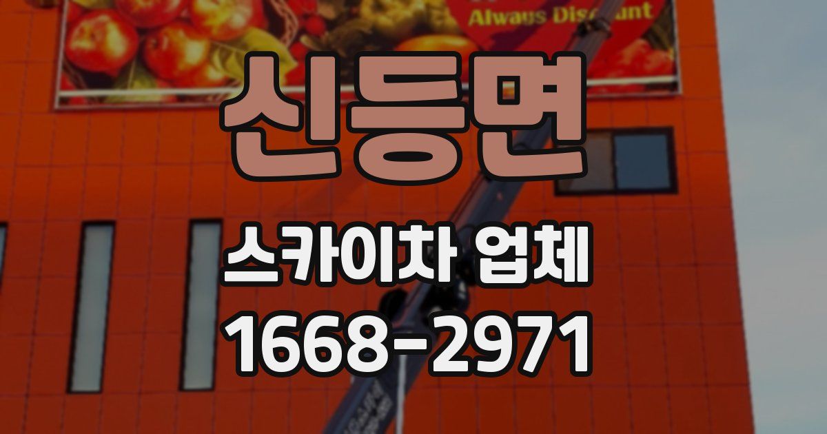 신등면 스카이차 업체