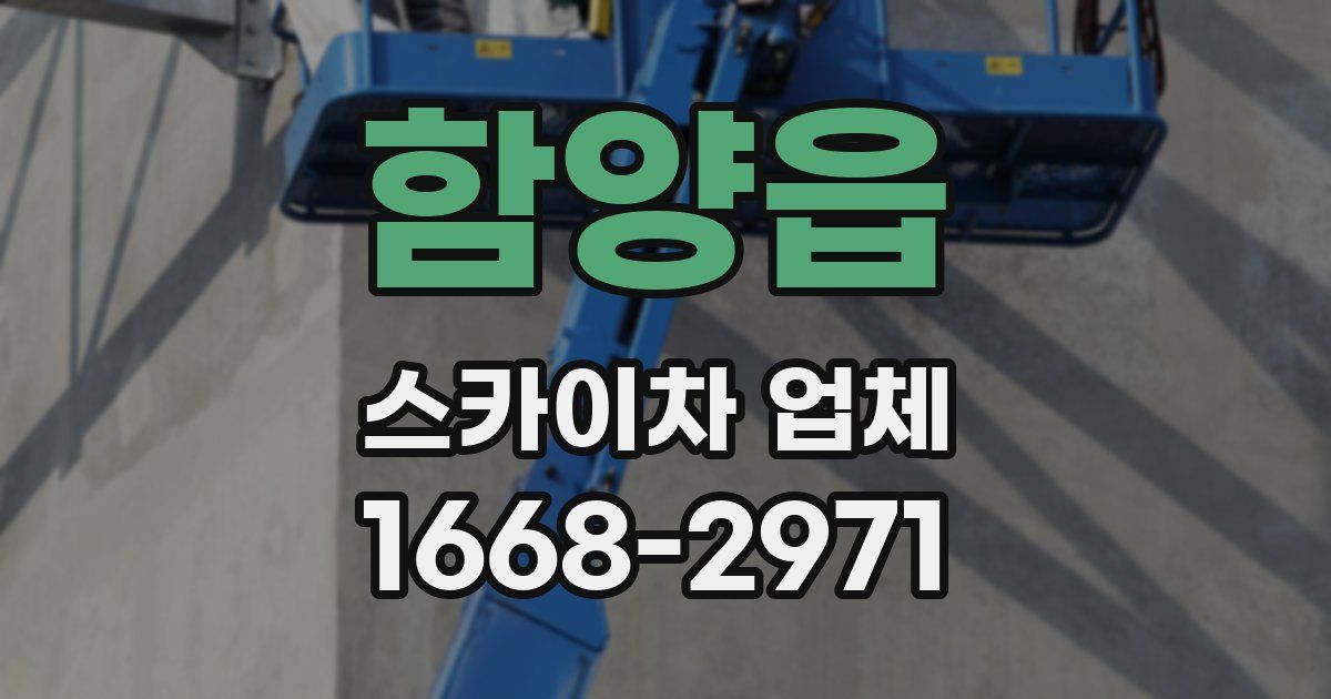 함양읍 스카이차 업체