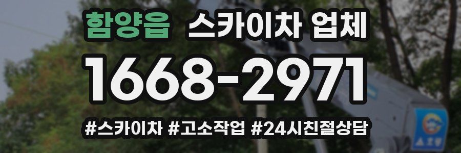 함양읍 스카이차 업체