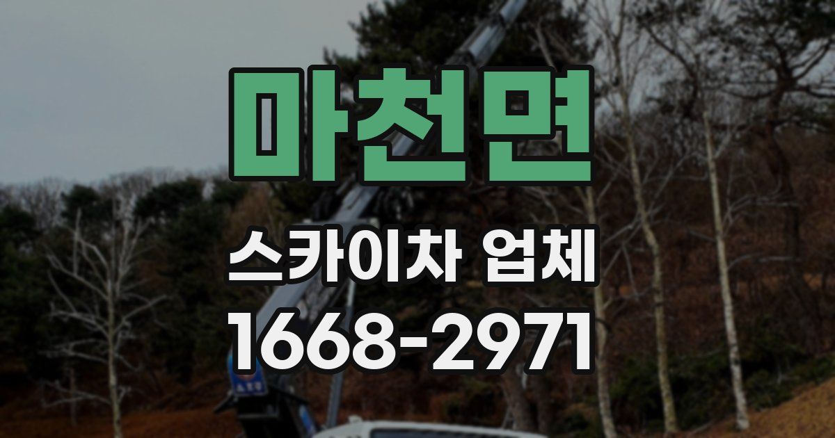 마천면 스카이차 업체