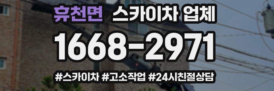 휴천면 스카이차 업체