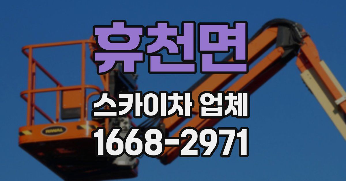 휴천면 스카이차 업체