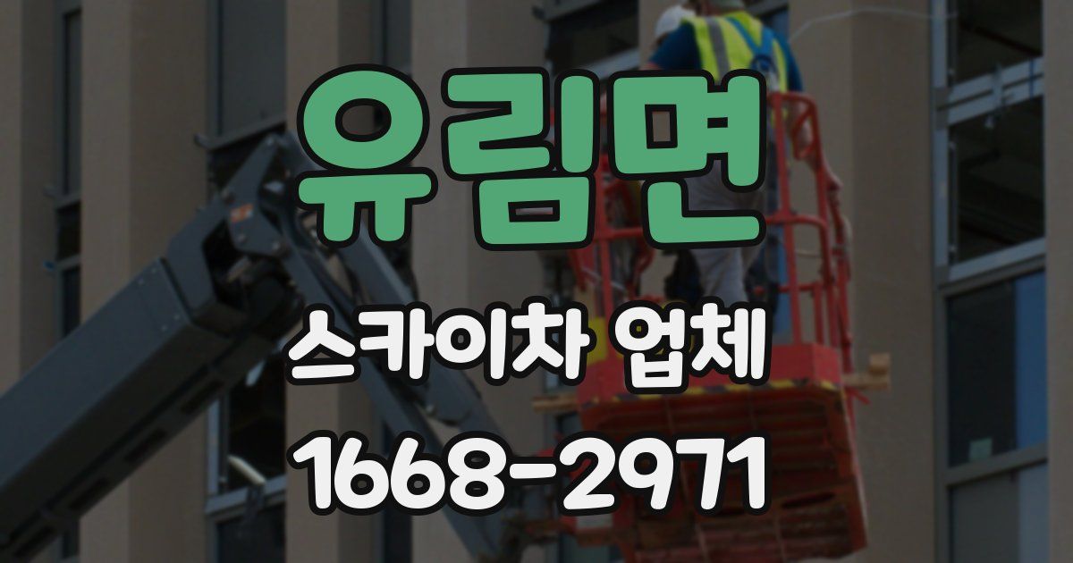 유림면 스카이차 업체