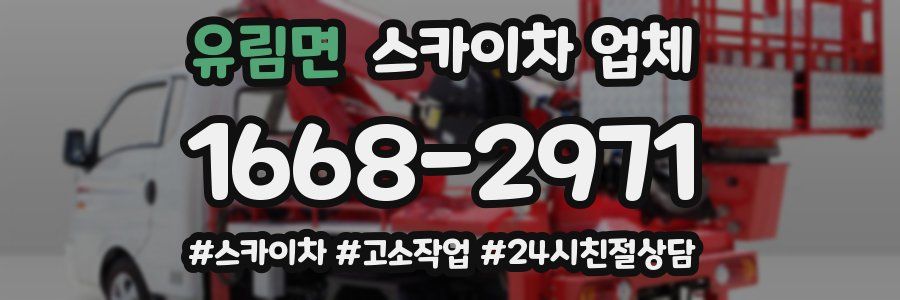 유림면 스카이차 업체