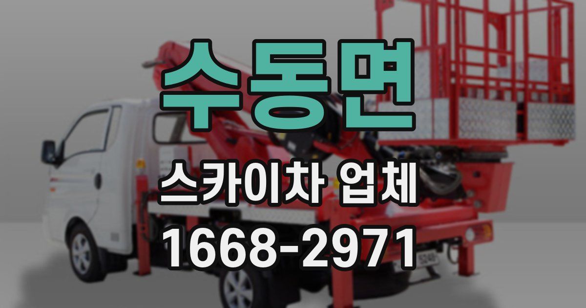 수동면 스카이차 업체