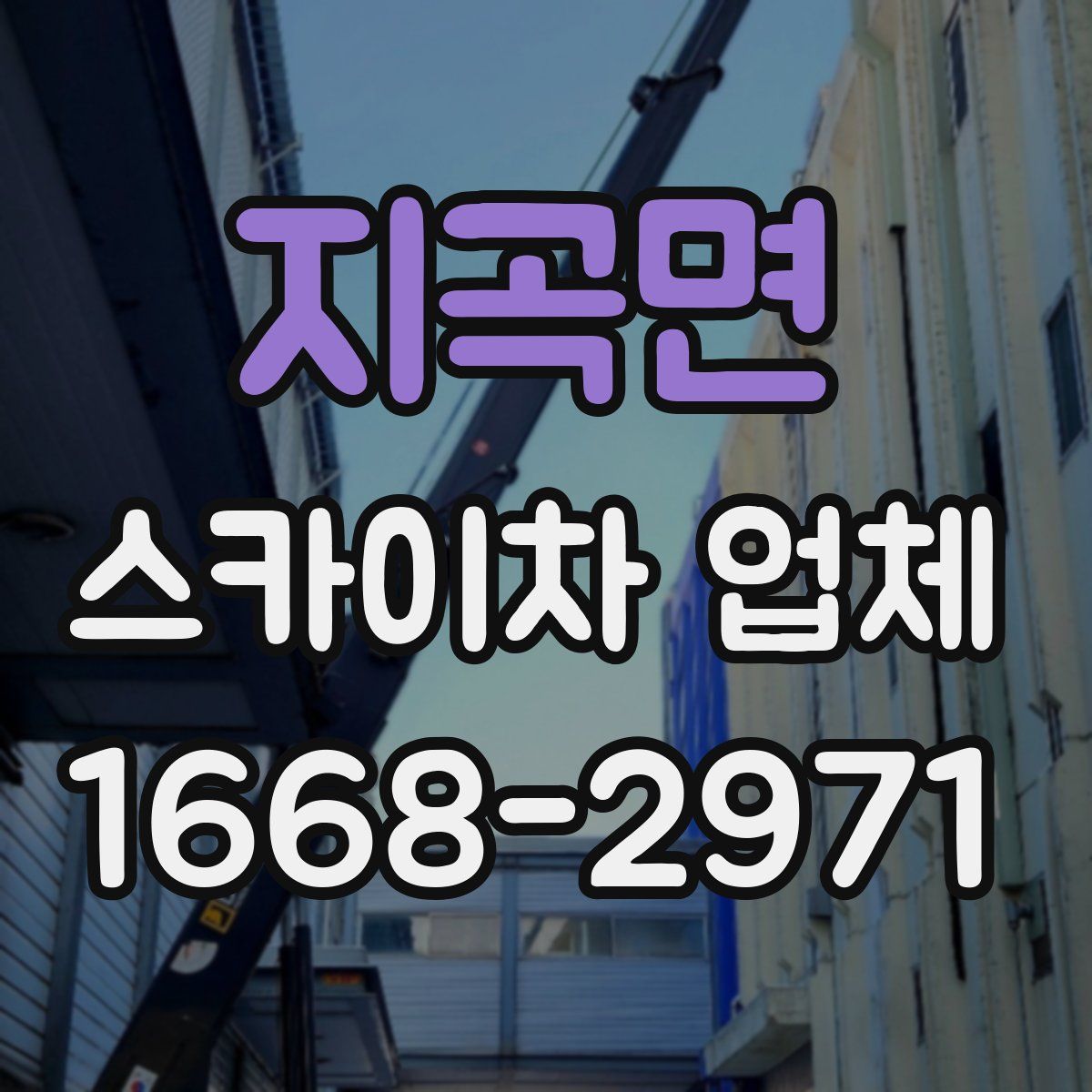 지곡면 스카이차 업체