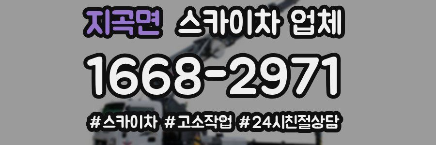 지곡면 스카이차 업체