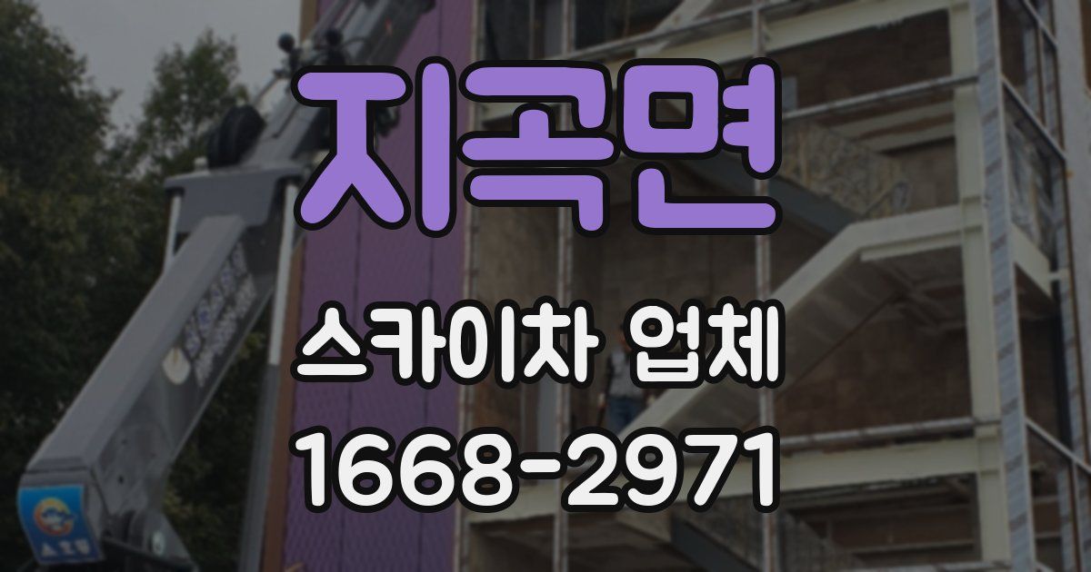 지곡면 스카이차 업체