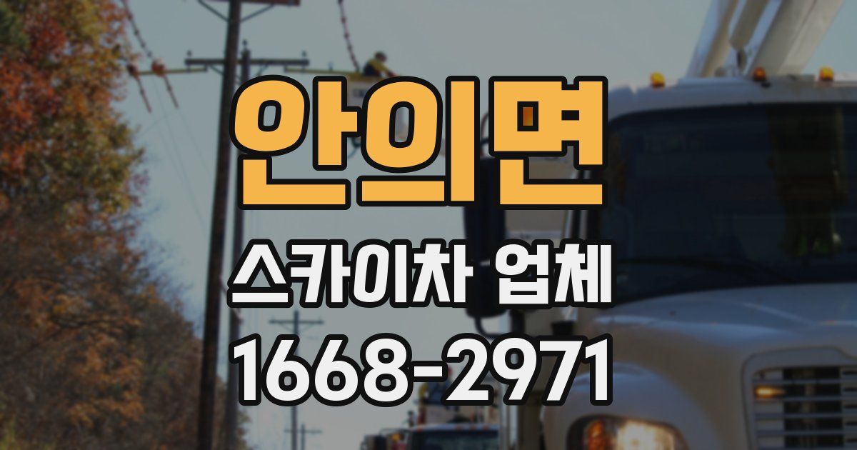안의면 스카이차 업체
