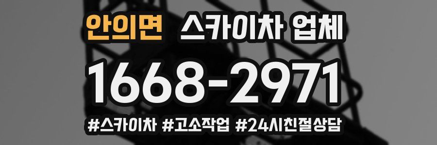안의면 스카이차 업체