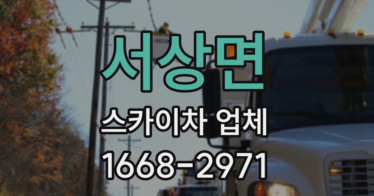 서상면 스카이차 업체