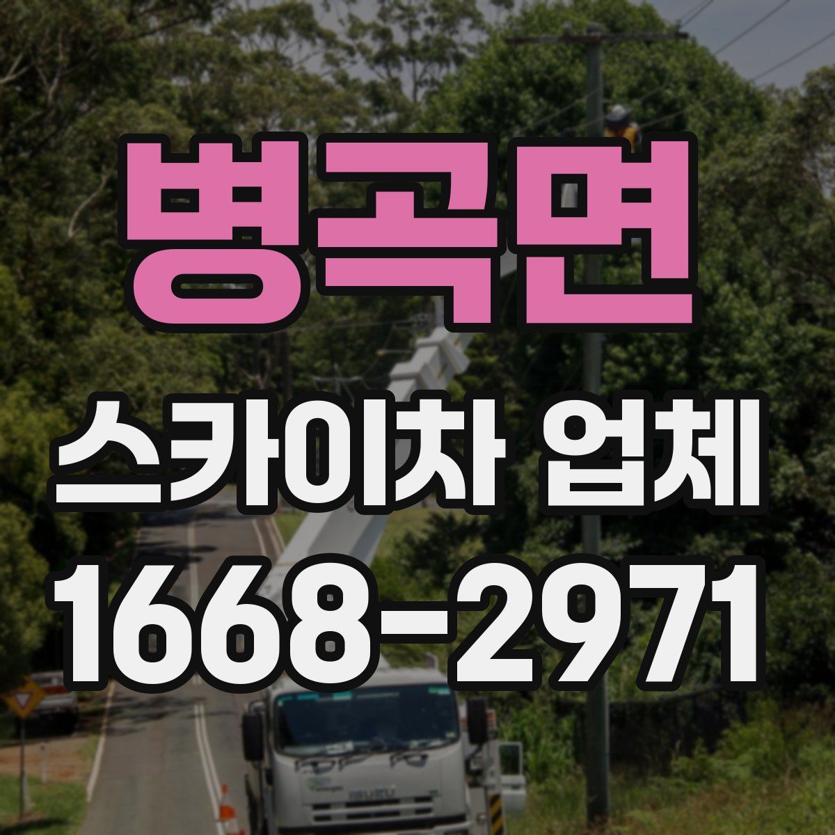 병곡면 스카이차 업체