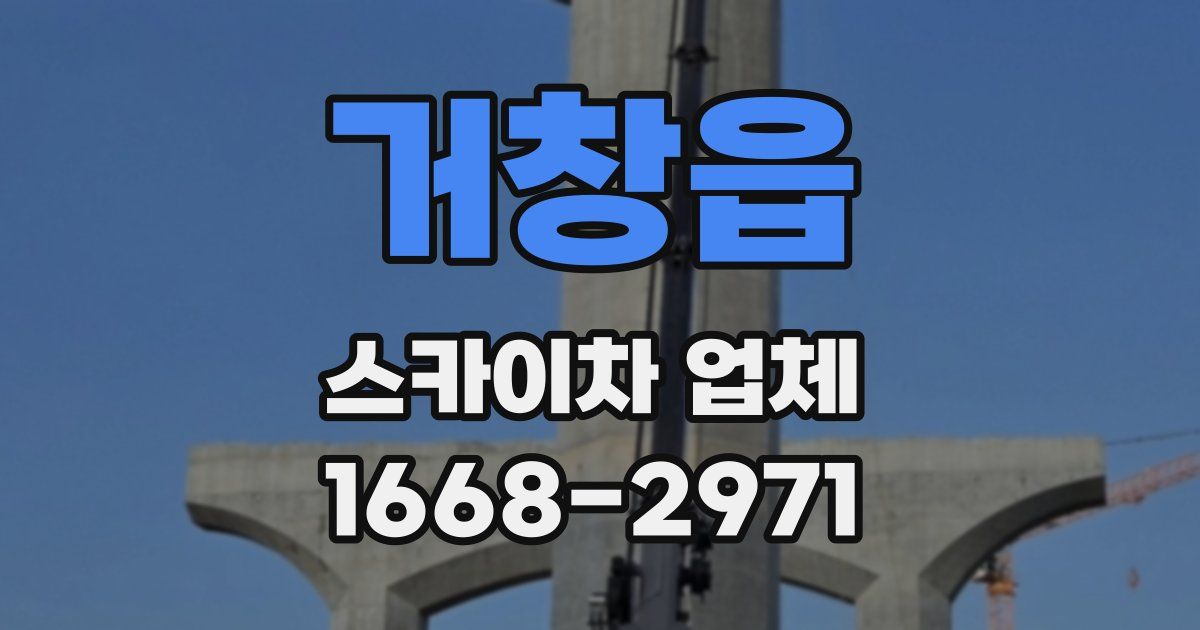 거창읍 스카이차 업체