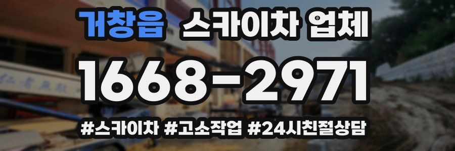 거창읍 스카이차 업체