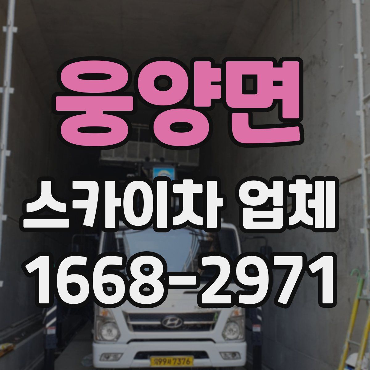 웅양면 스카이차 업체