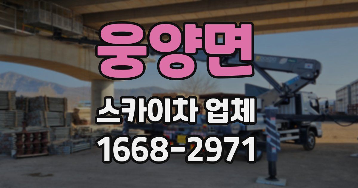 웅양면 스카이차 업체
