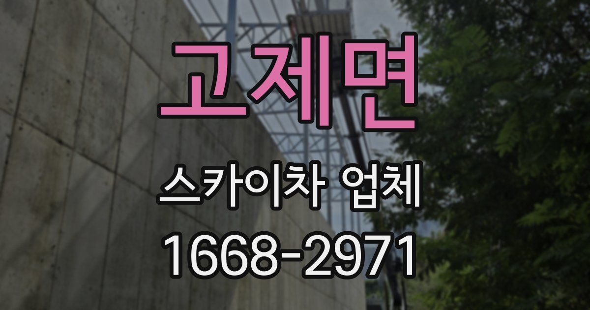 고제면 스카이차 업체