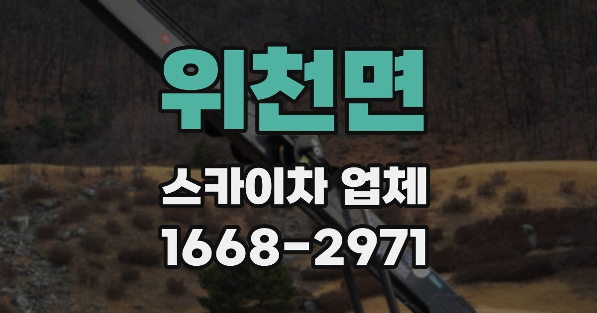 위천면 스카이차 업체
