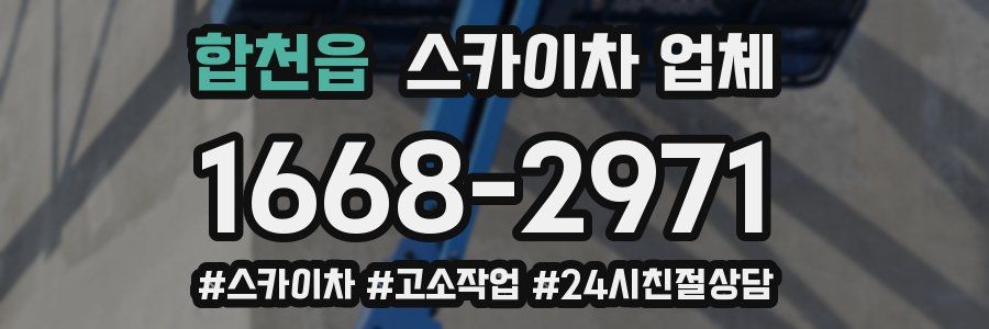 합천읍 스카이차 업체