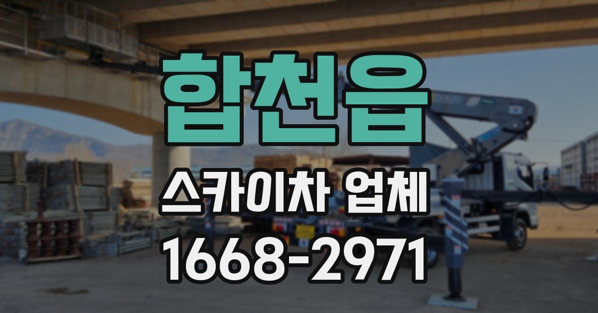합천읍 스카이차 업체