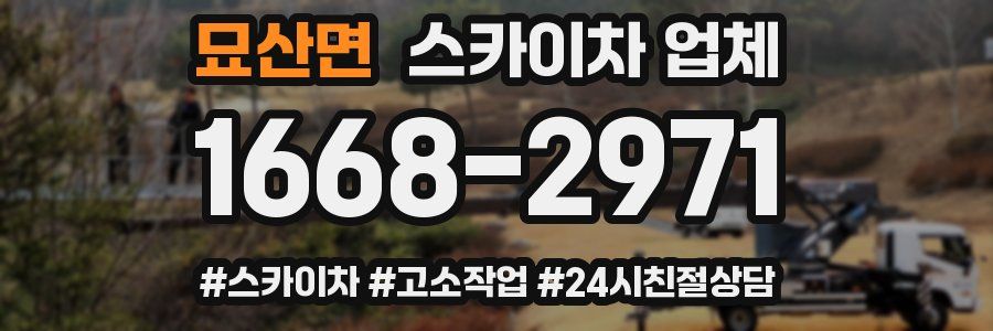 묘산면 스카이차 업체