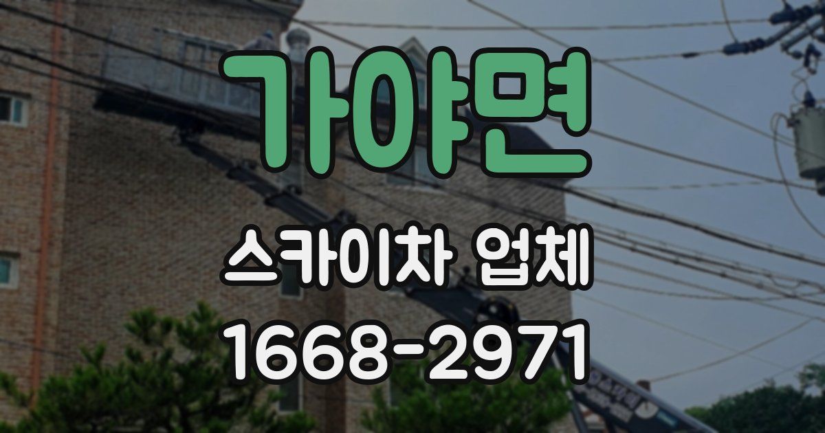 가야면 스카이차 업체