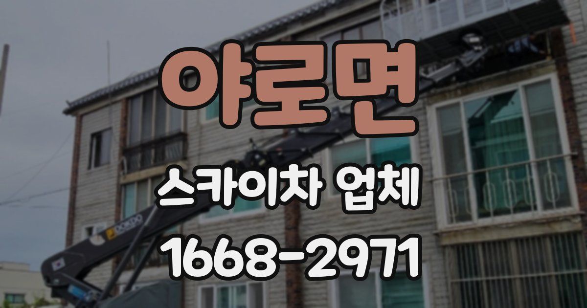 야로면 스카이차 업체