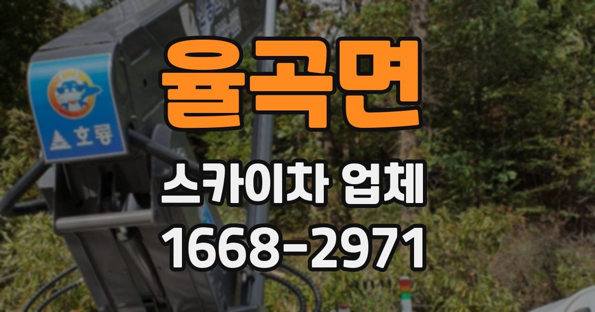 율곡면 스카이차 업체