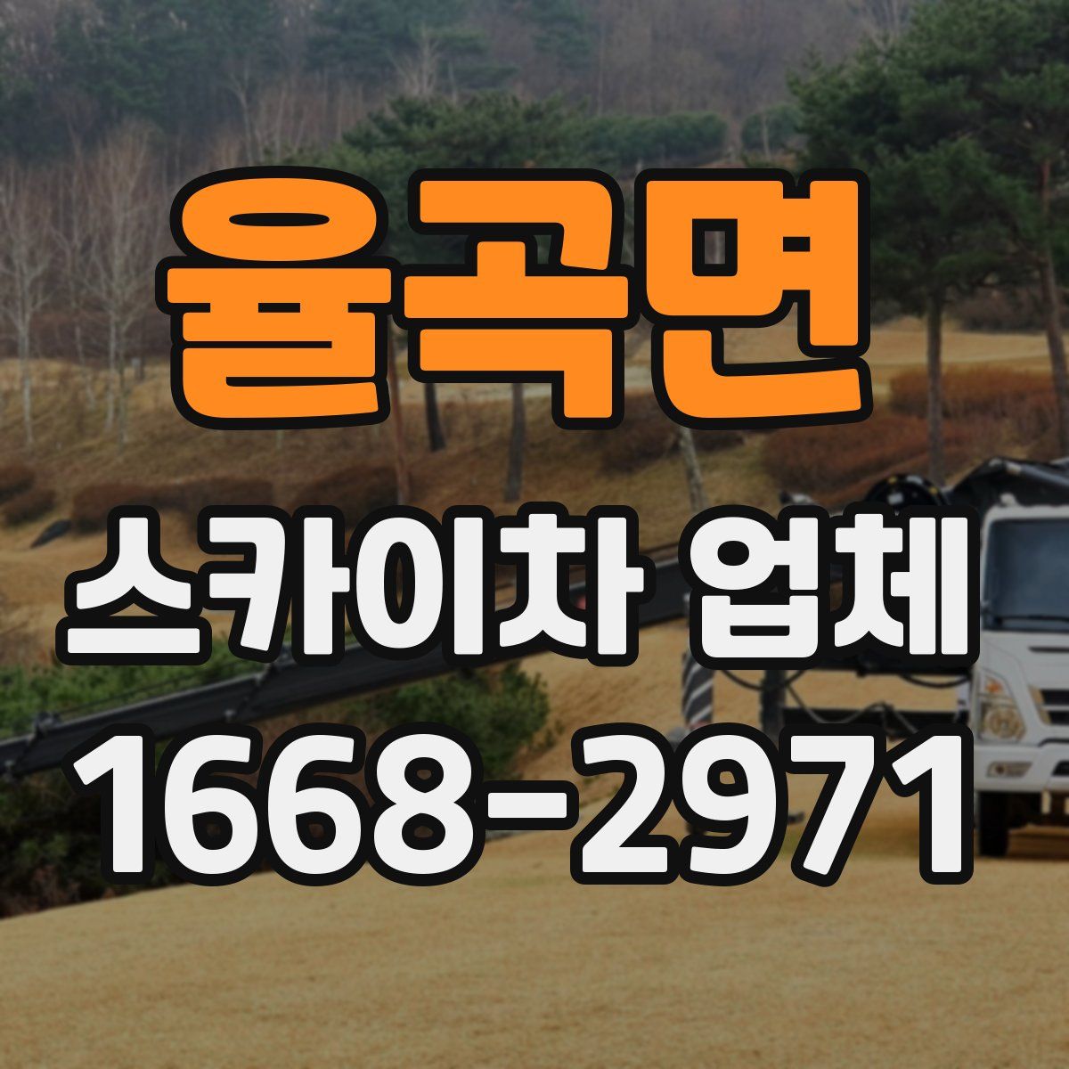 율곡면 스카이차 업체