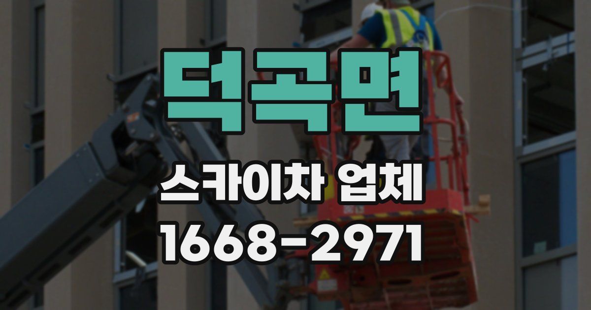 덕곡면 스카이차 업체