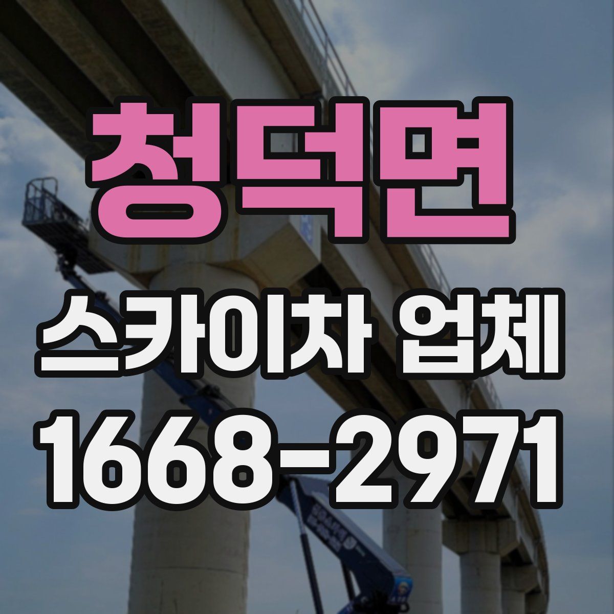 청덕면 스카이차 업체