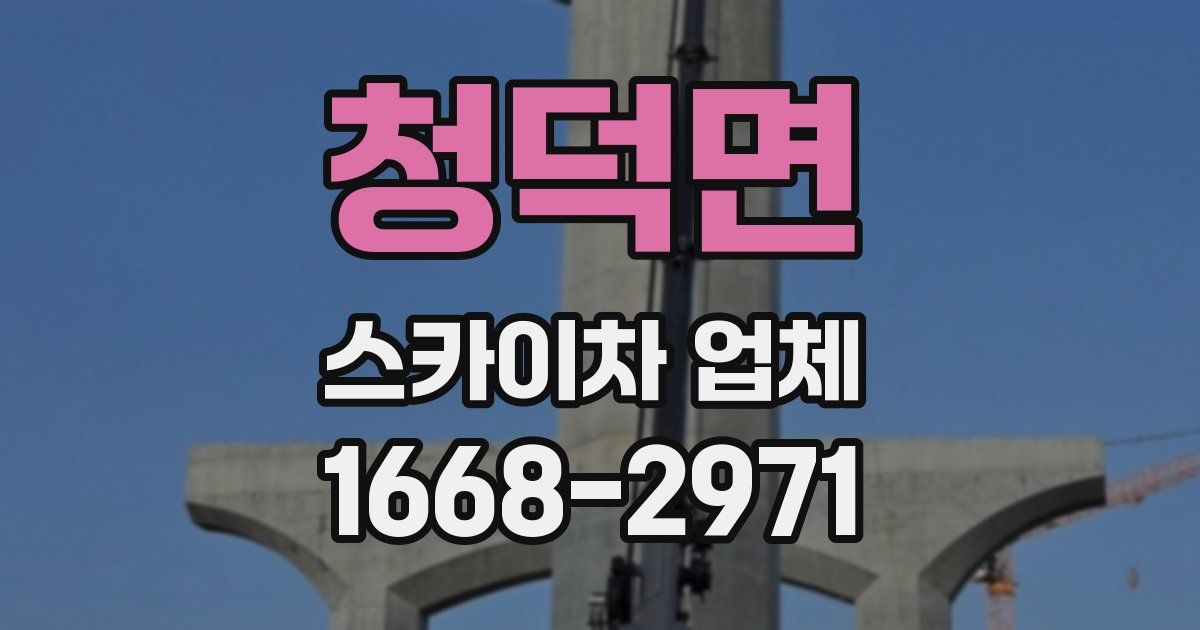 청덕면 스카이차 업체