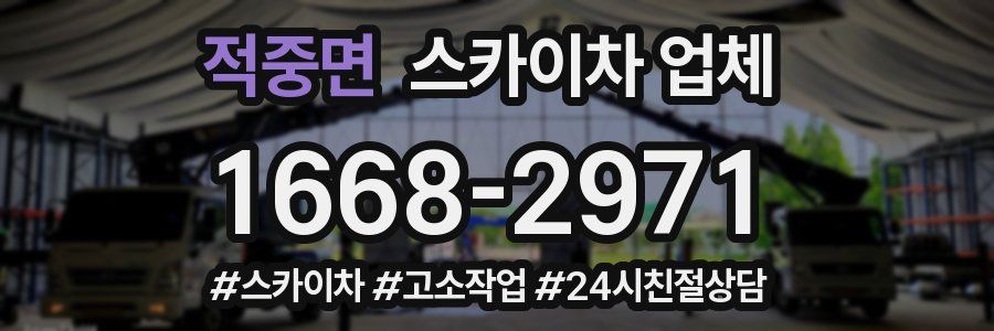 적중면 스카이차 업체