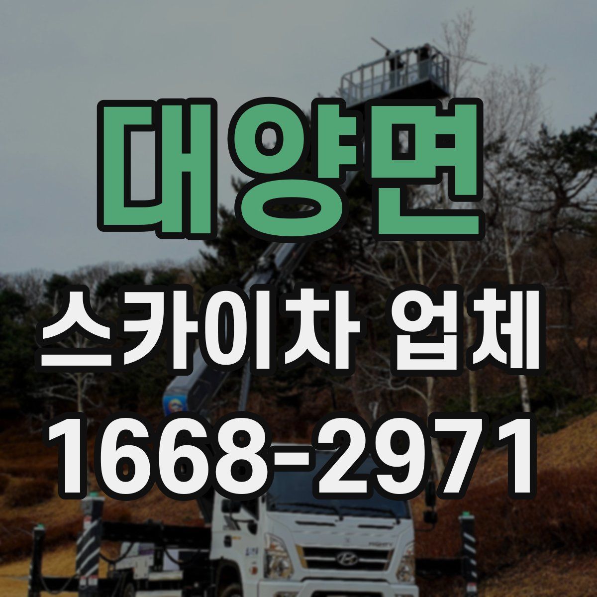 대양면 스카이차 업체